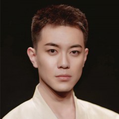 馬?。ǜ拭C演藝集團歌舞劇院）